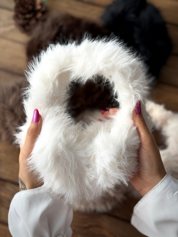 گوش گیر وارداتی