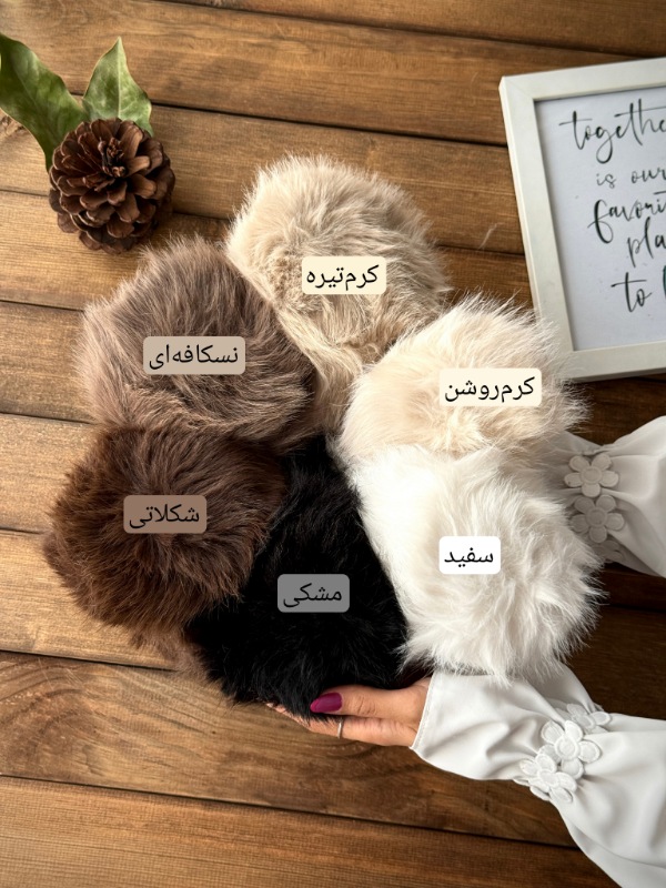 گوش گیر وارداتی