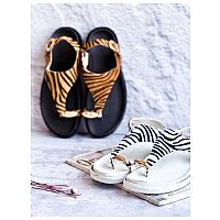 صندل انگشتری پلنگی